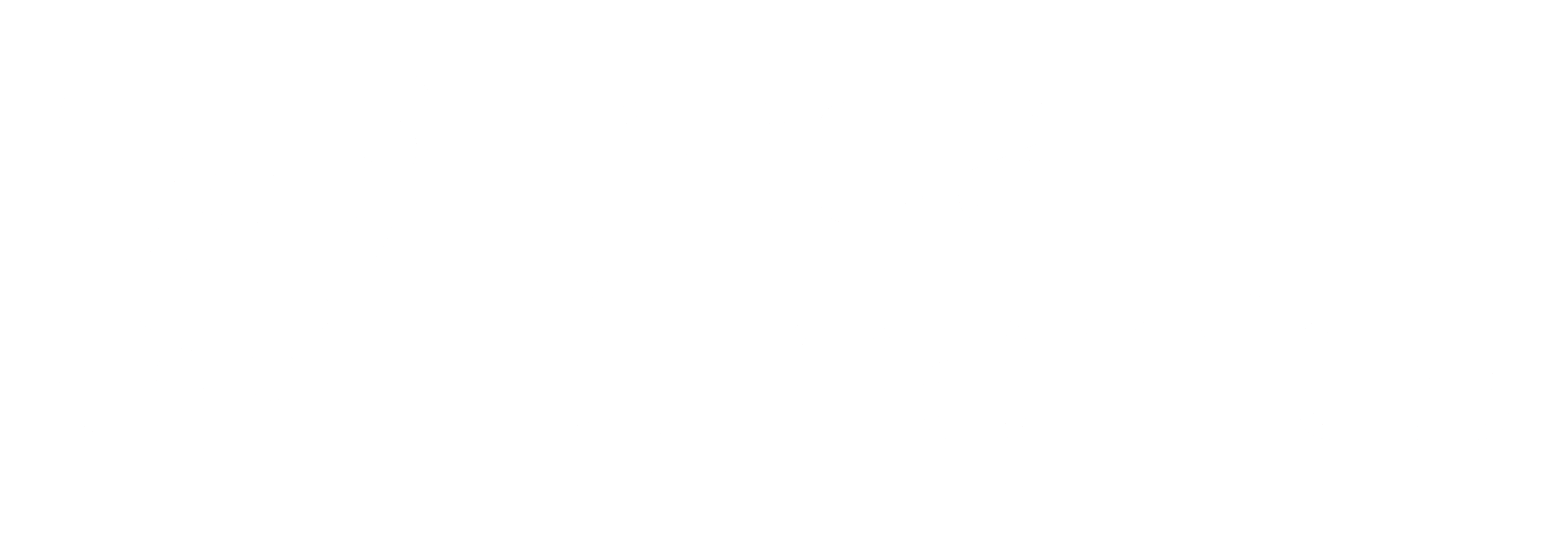 Trade Dynamics